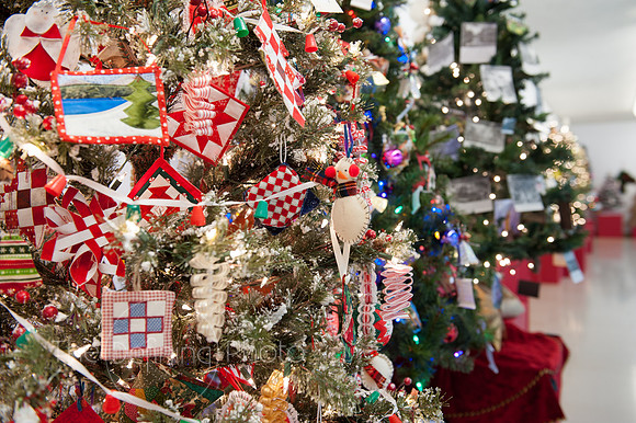 Festival_Of_Trees_038