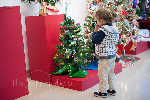 Festival_Of_Trees_095
