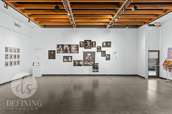 BFA_Thesis_Exhibition_2-109