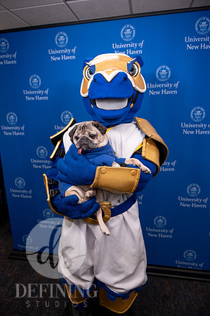 Doug_The_Pug_036