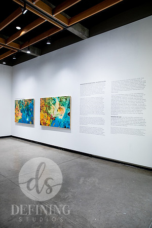 Artist_In_Residence_Installation_156