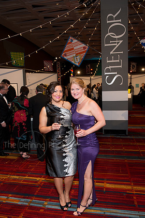 Splendor_2013_118