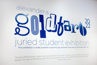 Goldfarb_Exhibition_2022_001