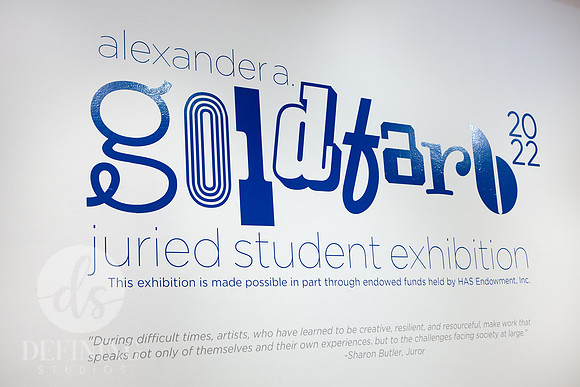 Goldfarb_Exhibition_2022_001