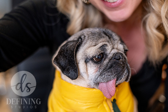 Doug_The_Pug_122