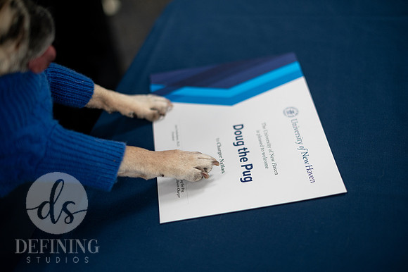 Doug_The_Pug_018