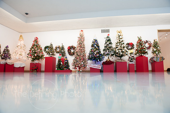 Festival_Of_Trees_035