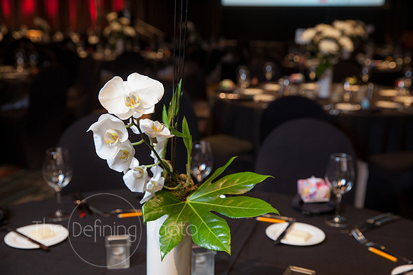 Splendor_Gala_011