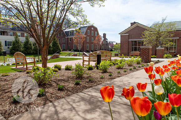 Weigel_Terrace_Dedication_010