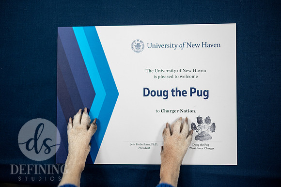 Doug_The_Pug_021