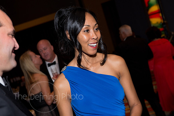 Splendor_2013_165