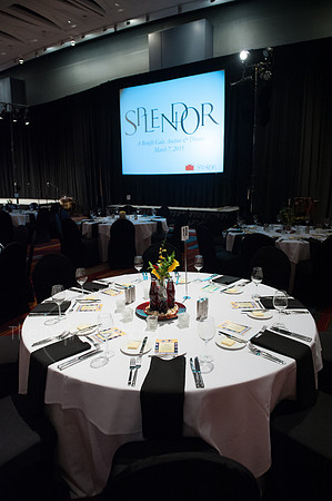 Splendor_2015_016