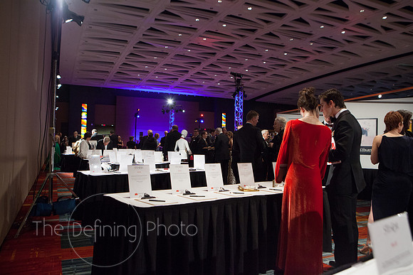 Splendor_2015_217