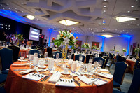 Crystal_Ball_2015_004