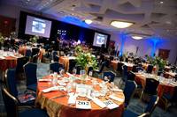 Crystal_Ball_2015_005