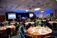 Crystal_Ball_2015_007