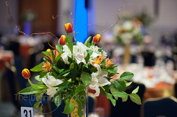 Crystal_Ball_2015_009