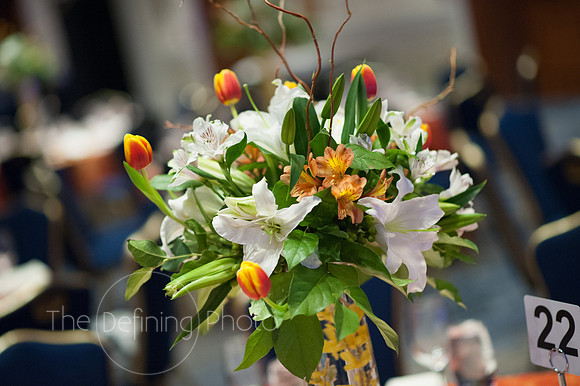 Crystal_Ball_2015_014