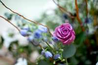 Fine_Art&Flowers_006