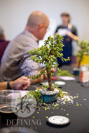 Bonsai_and_Brew_151
