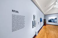 HAS_Human_Marks_Gallery-014