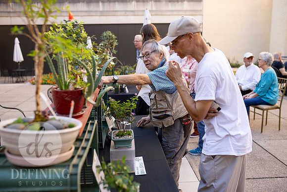 Bonsai_and_Brew_075