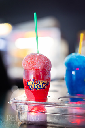 Big_Apple_Circus_Boston_PROOFS-002