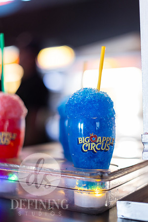 Big_Apple_Circus_Boston_PROOFS-003