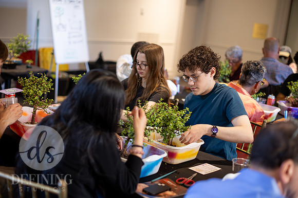 Bonsai_and_Brew_109
