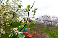 Hartford_Food_Security_HFPG-002