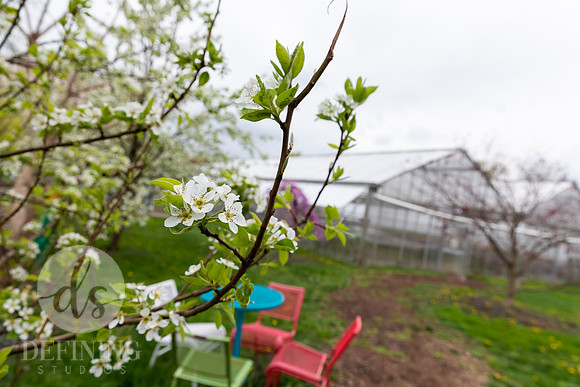 Hartford_Food_Security_HFPG-002