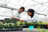 Hartford_Food_Security_HFPG-019
