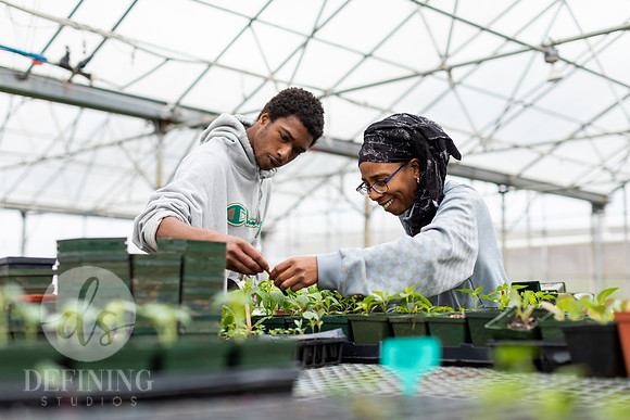 Hartford_Food_Security_HFPG-019