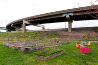 Hartford_Food_Security_HFPG-004