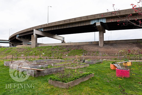 Hartford_Food_Security_HFPG-004