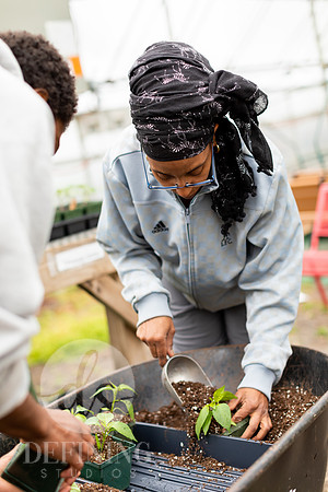 Hartford_Food_Security_HFPG-037