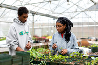 Hartford_Food_Security_HFPG-017