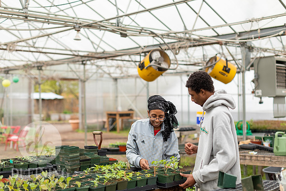 Hartford_Food_Security_HFPG-041