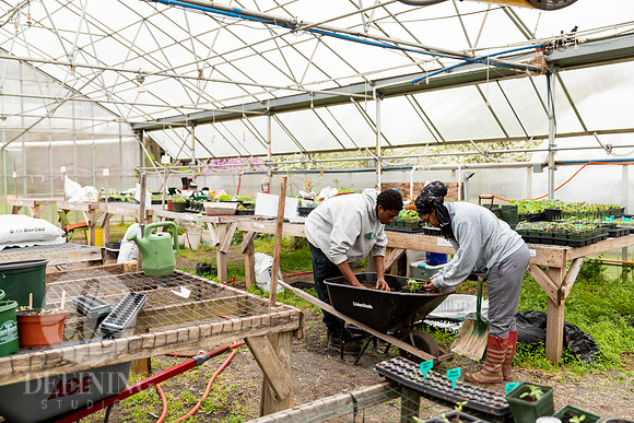 Hartford_Food_Security_HFPG-034