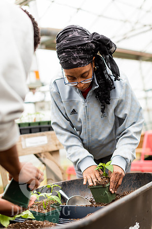 Hartford_Food_Security_HFPG-038