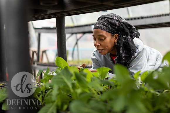 Hartford_Food_Security_HFPG-059