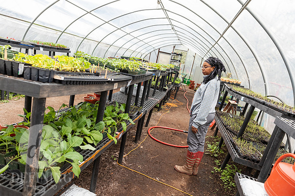 Hartford_Food_Security_HFPG-054