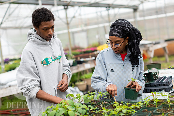 Hartford_Food_Security_HFPG-016