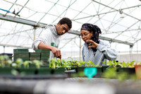 Hartford_Food_Security_HFPG-018