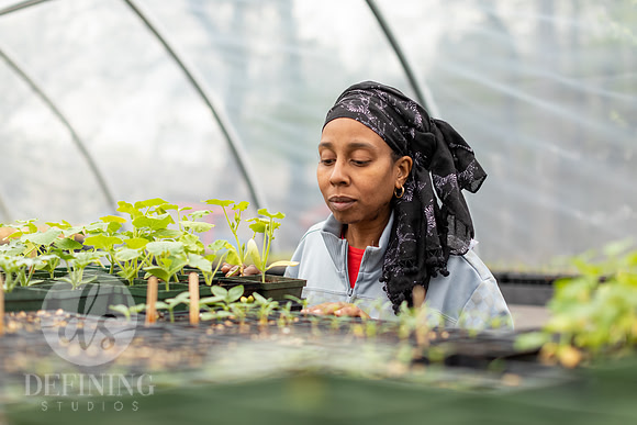 Hartford_Food_Security_HFPG-058