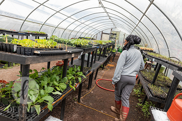 Hartford_Food_Security_HFPG-053