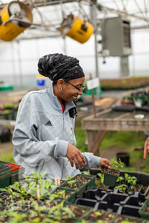 Hartford_Food_Security_HFPG-042
