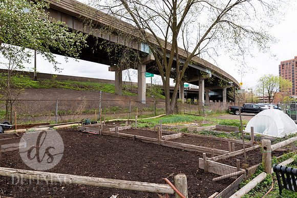 Hartford_Food_Security_HFPG-006