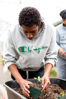 Hartford_Food_Security_HFPG-014