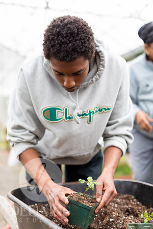 Hartford_Food_Security_HFPG-014